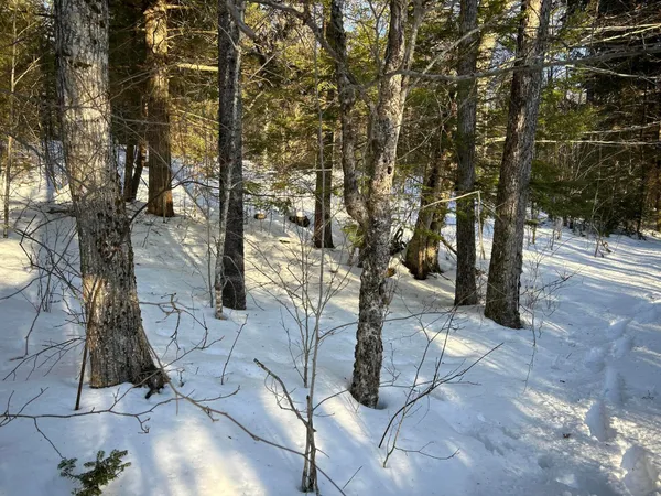 $190,000 | M7-l22 Nelson Ridge Road North, Washington, ME 04574