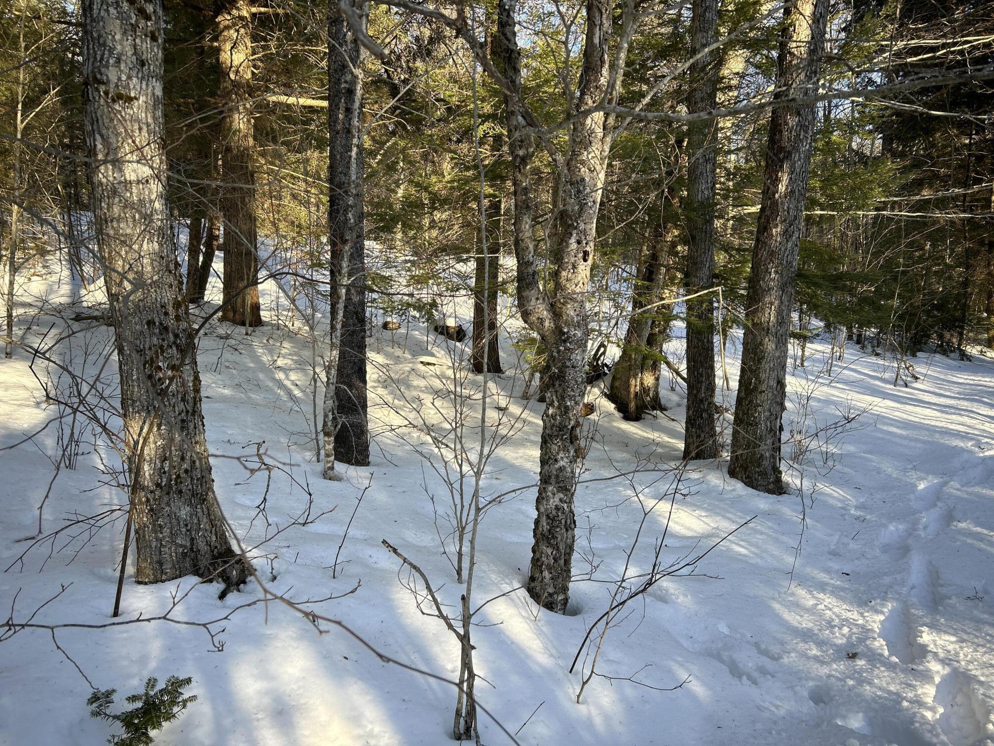 M7-l22 Nelson Ridge Road North Washington, ME 04574 - Photo 40 of 43 25