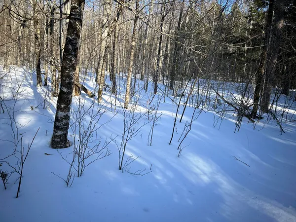 $190,000 | M7-l22 Nelson Ridge Road North, Washington, ME 04574