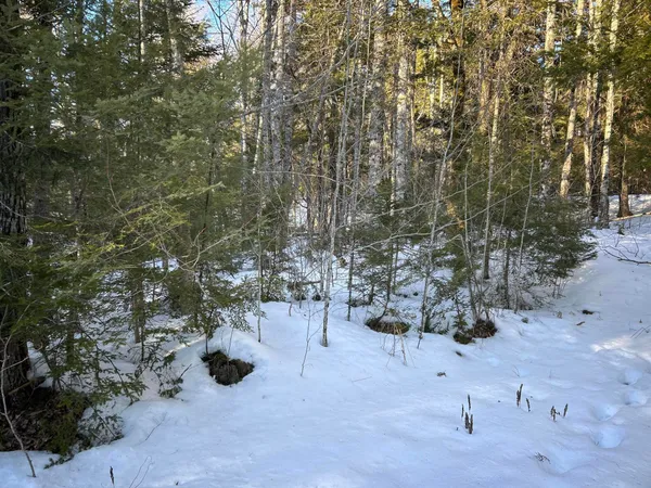 $190,000 | M7-l22 Nelson Ridge Road North, Washington, ME 04574