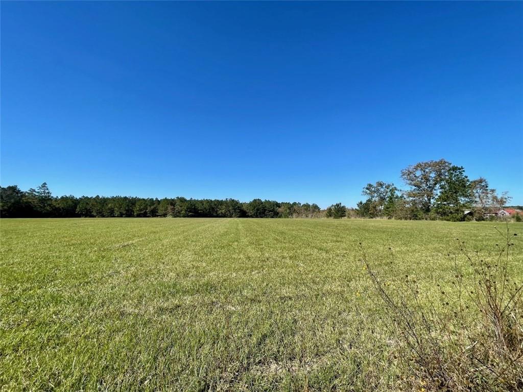 0 Herman Smith Road Deridder, LA 70634 - Photo 1 of 8