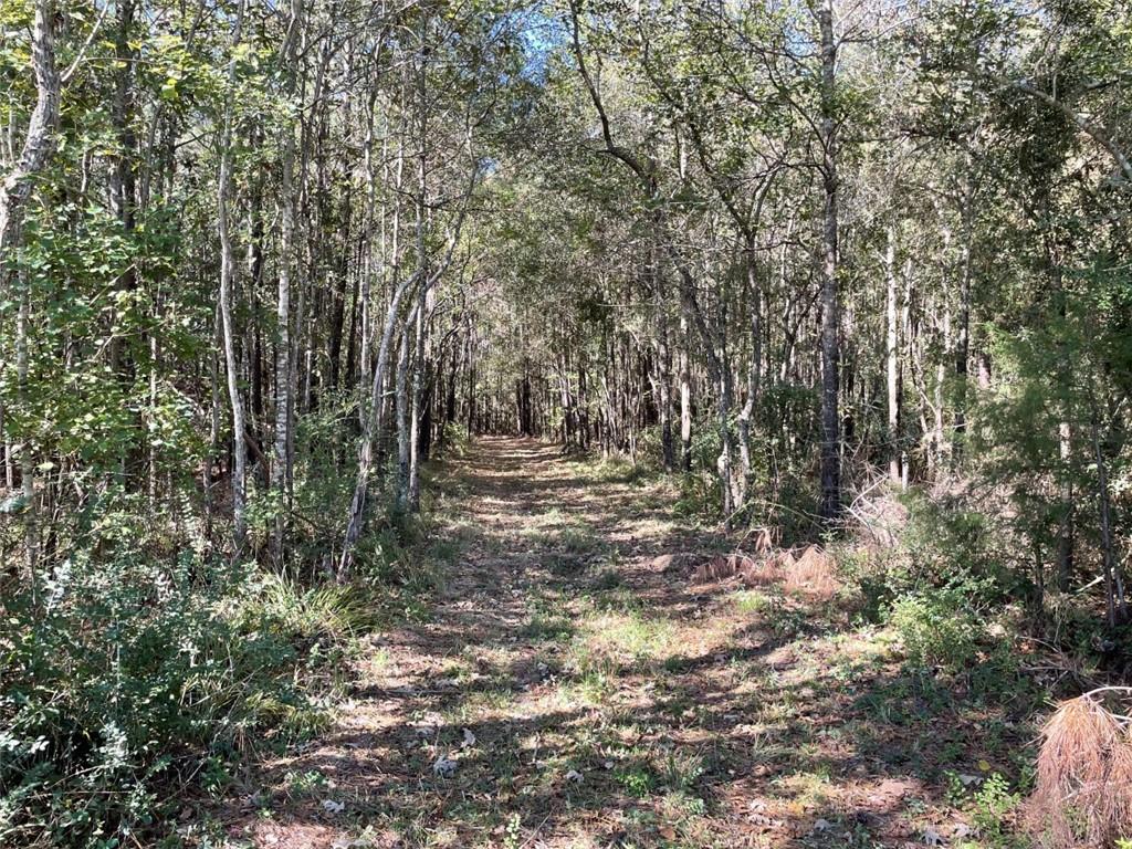 0 Herman Smith Road Deridder, LA 70634 - Photo 2 of 8