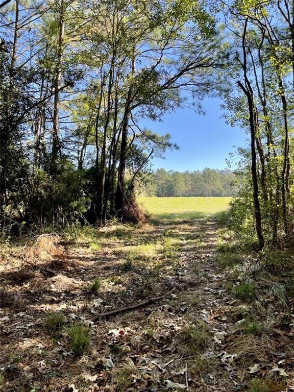 0 Herman Smith Road Deridder, LA 70634 - Photo 3 of 8