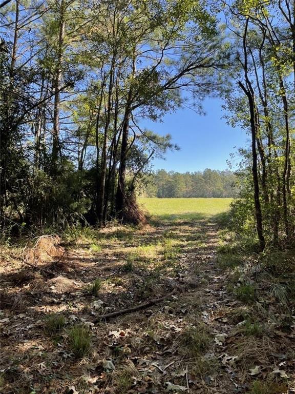 0 Herman Smith Road Deridder, LA 70634 - Photo 4 of 8