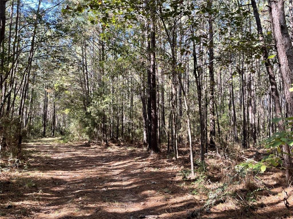 0 Herman Smith Road Deridder, LA 70634 - Photo 5 of 8
