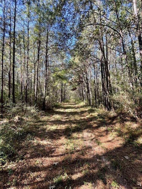 0 Herman Smith Road Deridder, LA 70634 - Photo 6 of 8