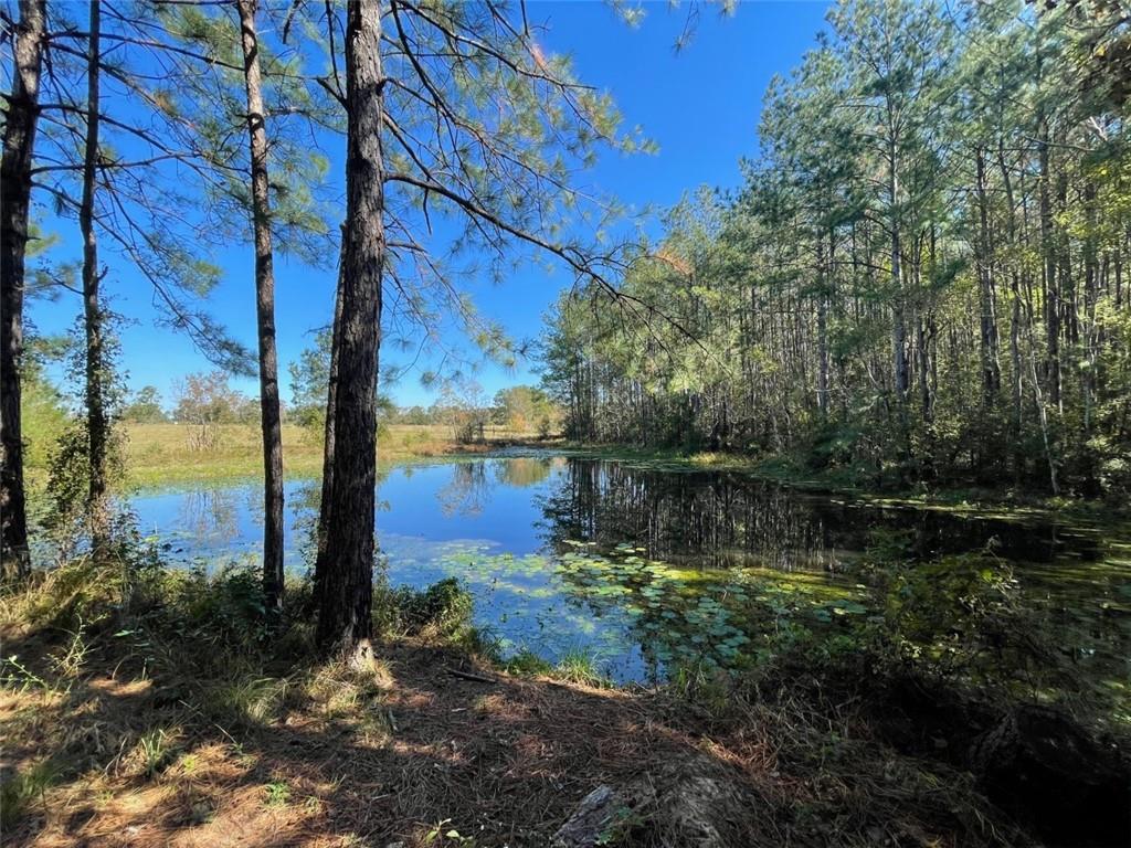 0 Herman Smith Road Deridder, LA 70634 - Photo 7 of 8