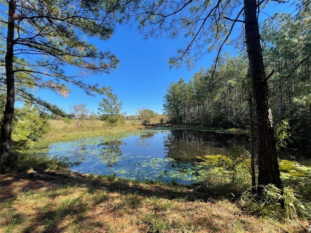 0 Herman Smith Road Deridder, LA 70634 - Photo 8 of 8