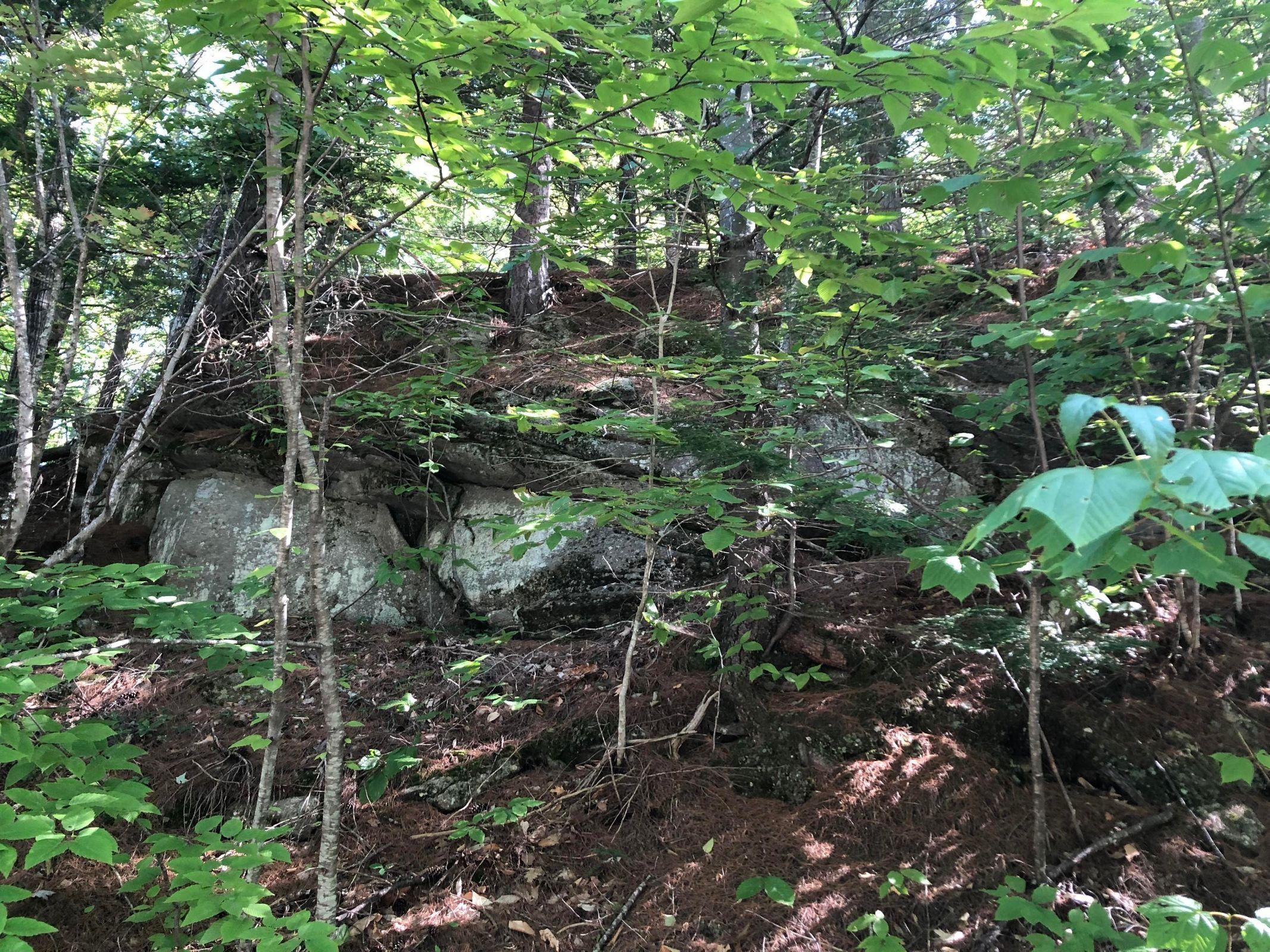 0 Blueberry Point Road Raymond, ME 04071 - Photo 14 of 16 JE 14