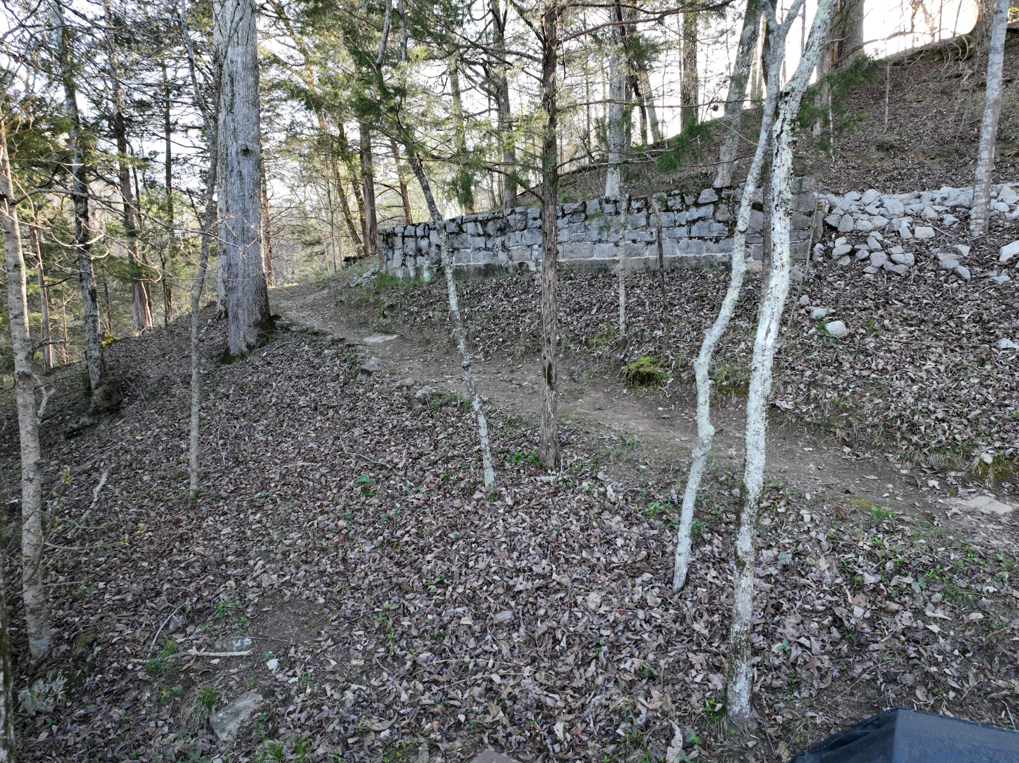 0 Damron Road Estill Springs, TN 37330 - Photo 38 of 46 Gallery Image 38