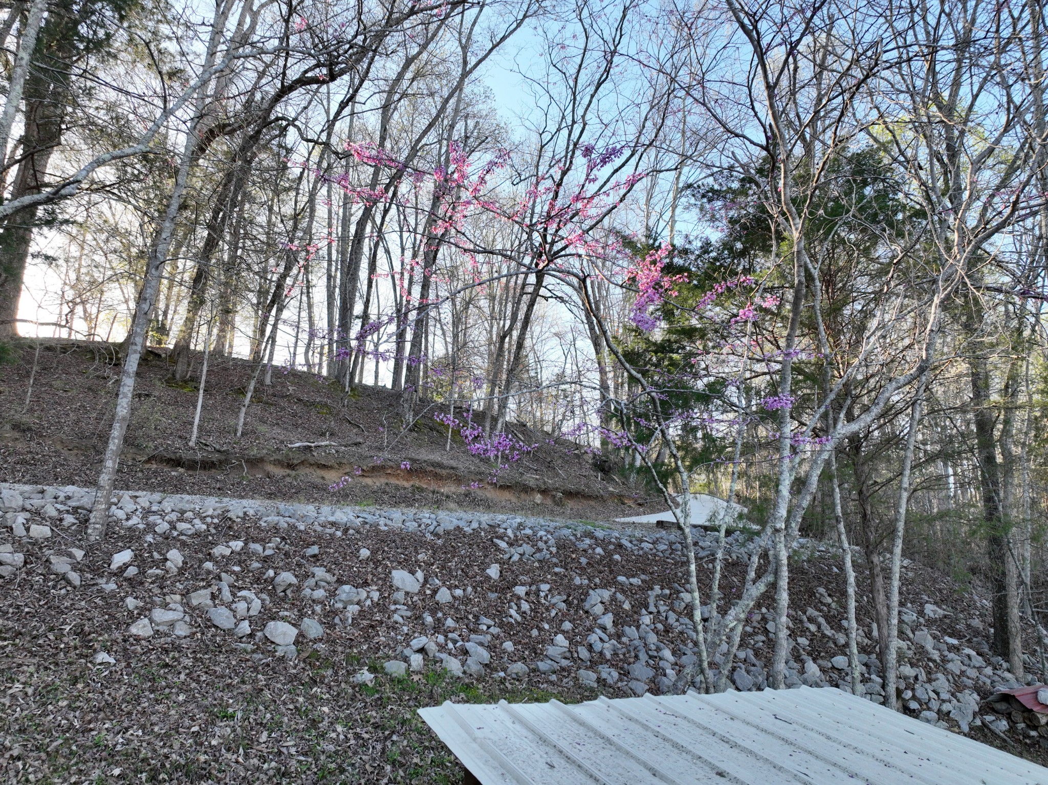 0 Damron Road Estill Springs, TN 37330 - Photo 39 of 46 Gallery Image 39