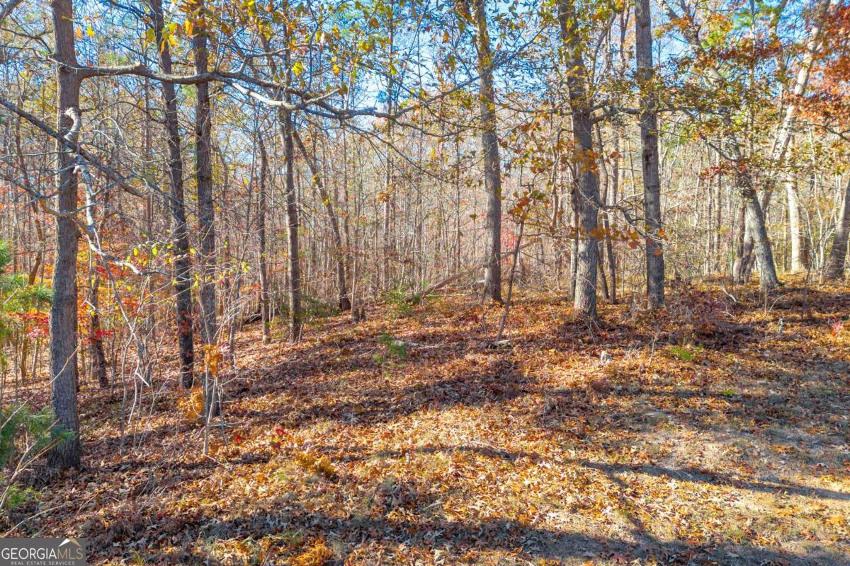 Lot 12 North Hicks Road Toccoa, GA 30577 - Photo 9 of 25