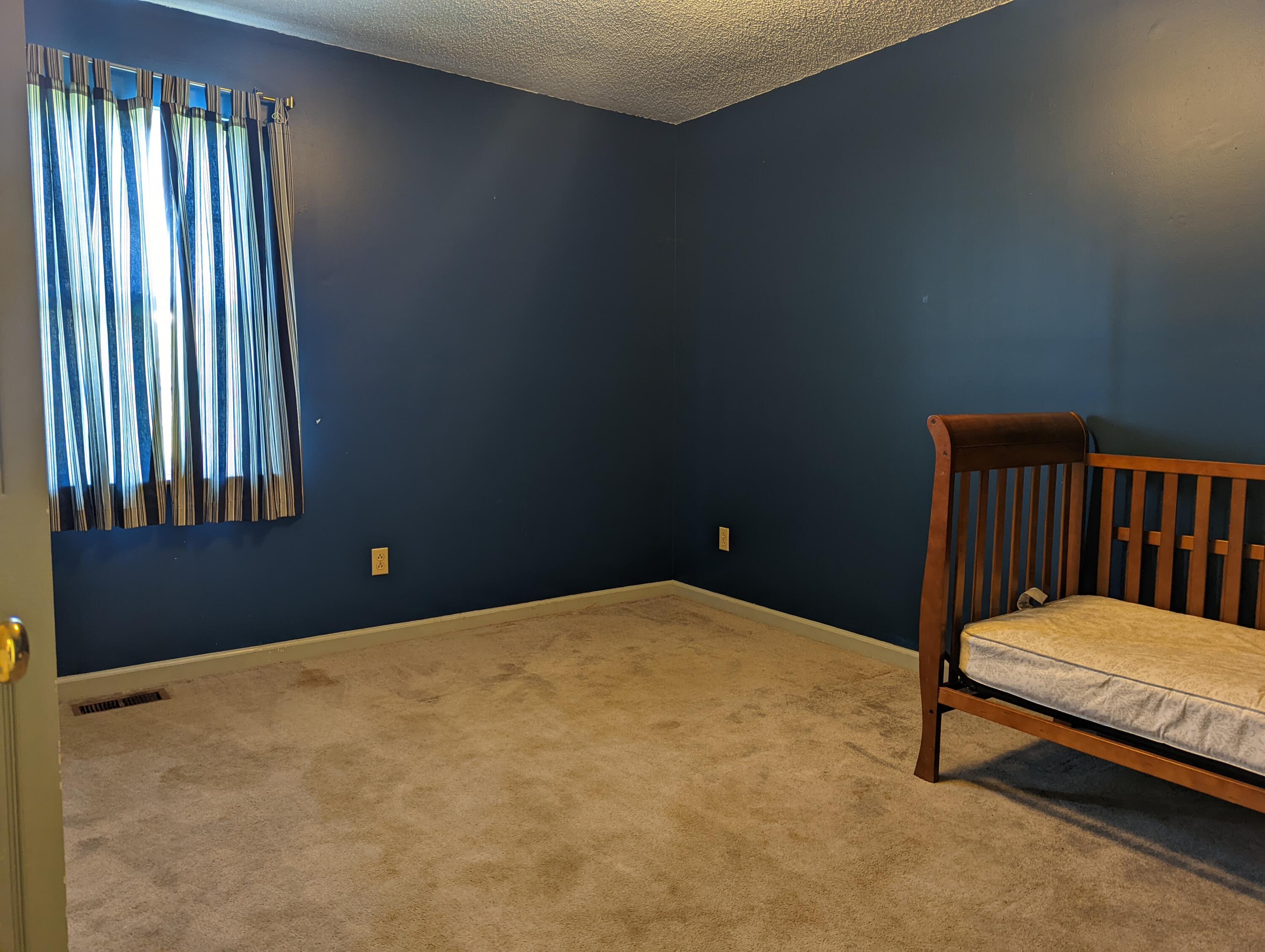 111 Miller Street Limestone, TN 37681 - Photo 8 of 15 PXL_20220420_201525745