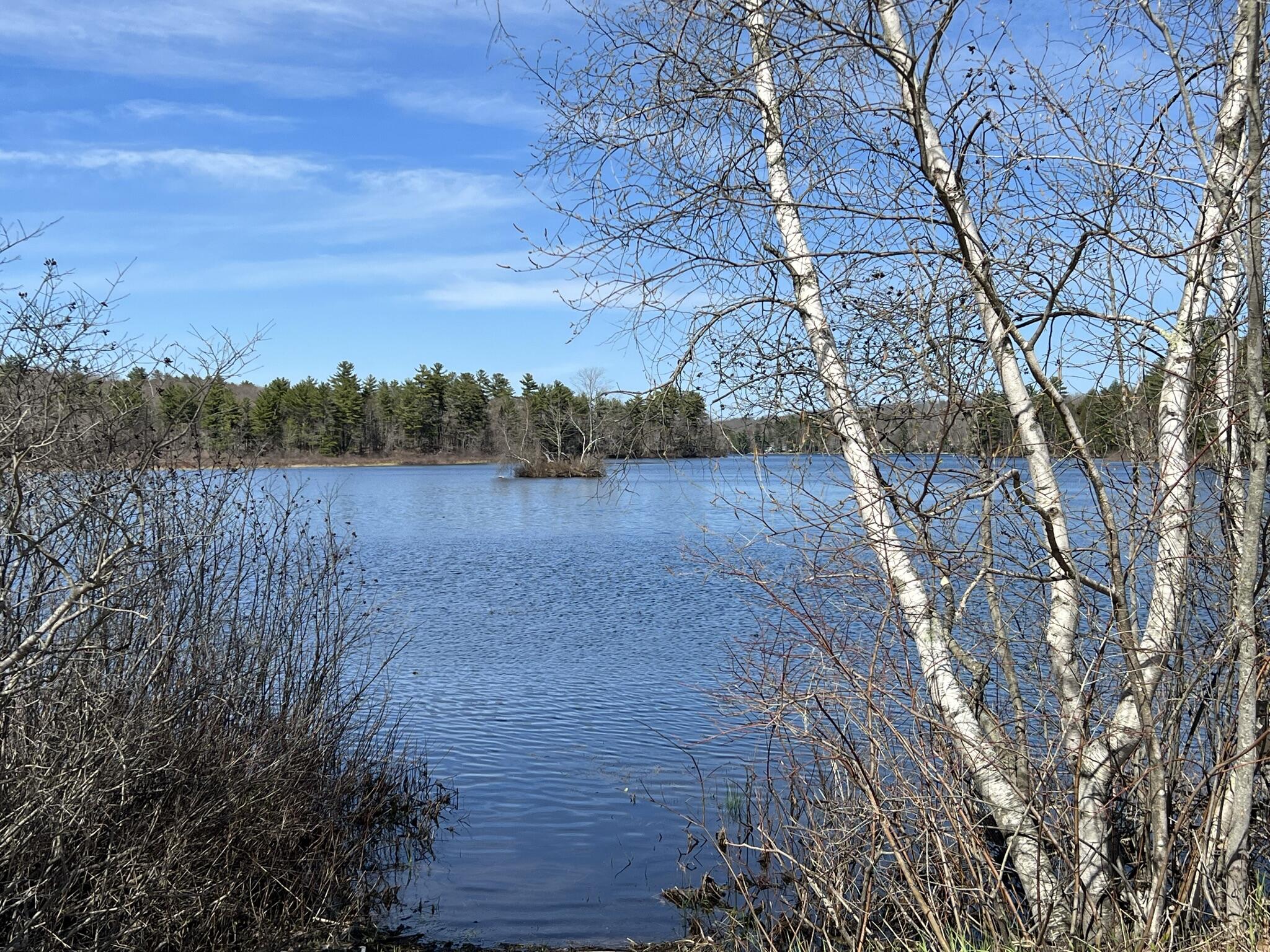 0 Cleve Tripp Road Poland, ME 04274 - Photo 13 of 16 IMG_0234