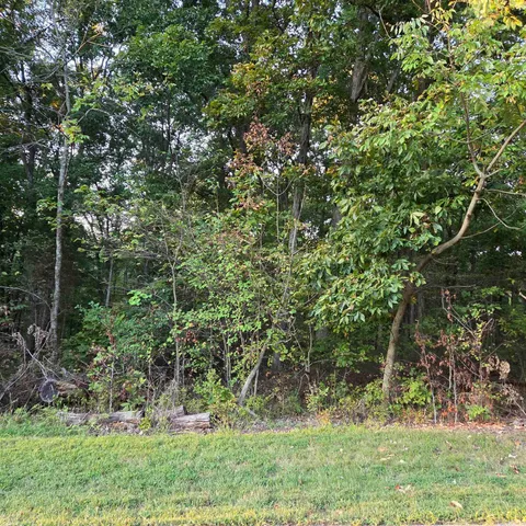 $5,000 | 0 West Chestnut By The Fire, Santa Claus, IN 47579