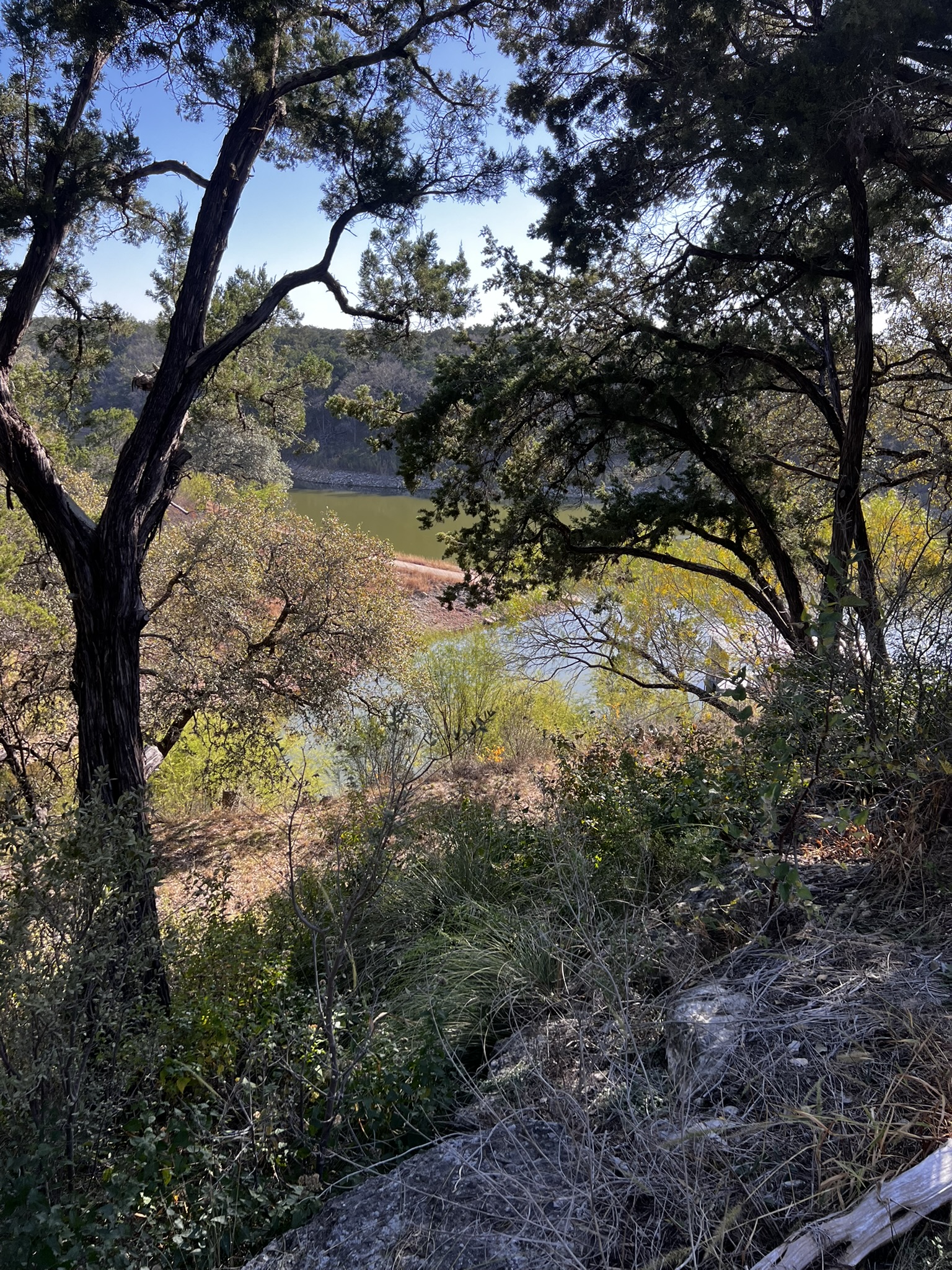 26809 Blue Cove Road Marble Falls, TX 78654 - Photo 2 of 20 Lake view from building site