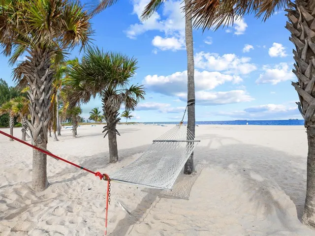 a view of outdoor space with palm trees