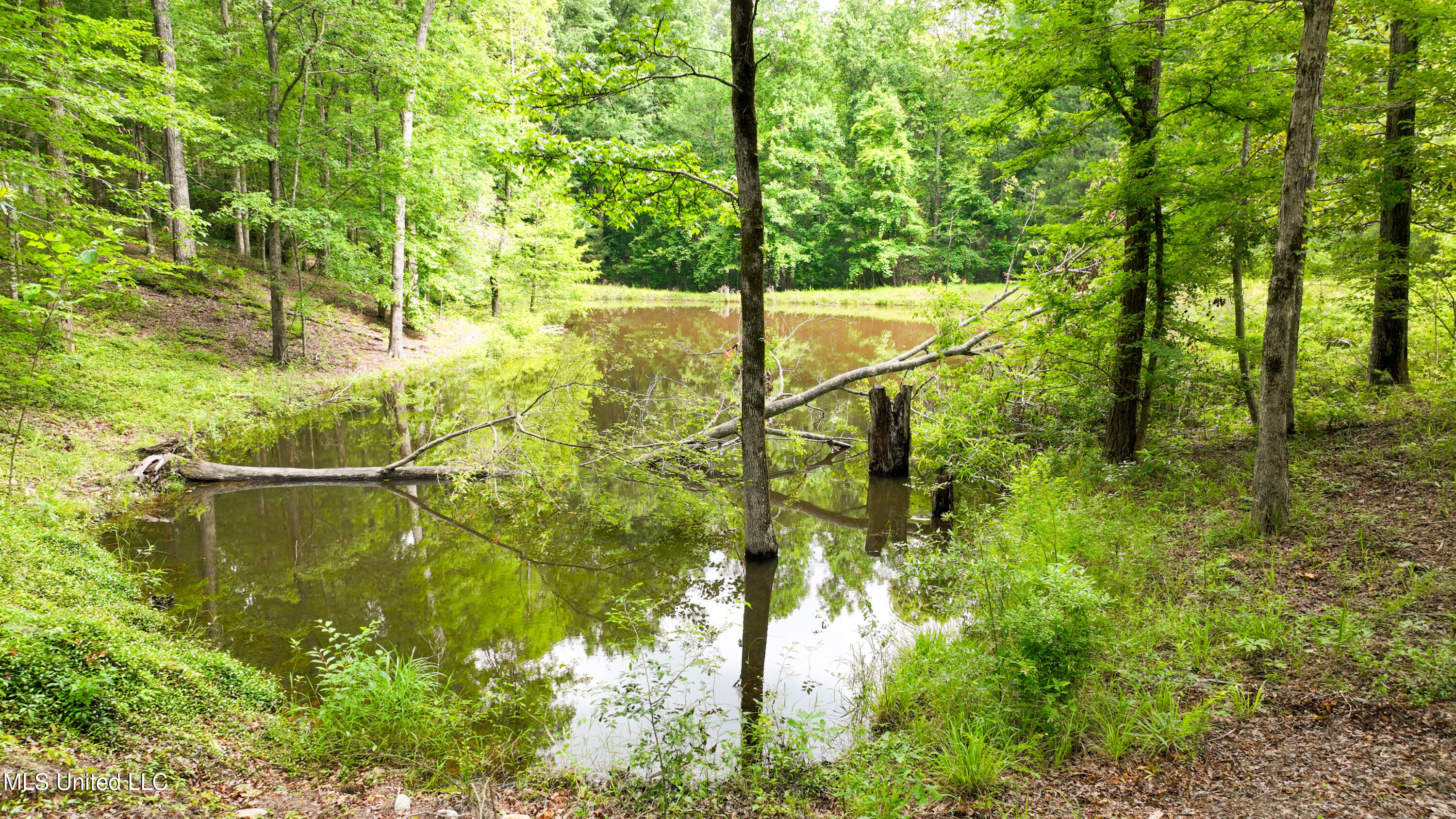 8855 Pine Springs Road Meridian, MS 39305 - Photo 10 of 44 DJI_0748
