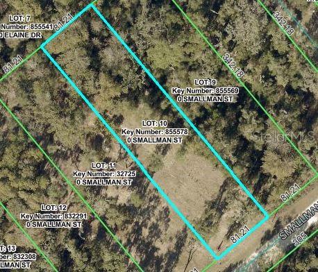 Smallman Street Webster, FL 33597 - Photo 1 of 2