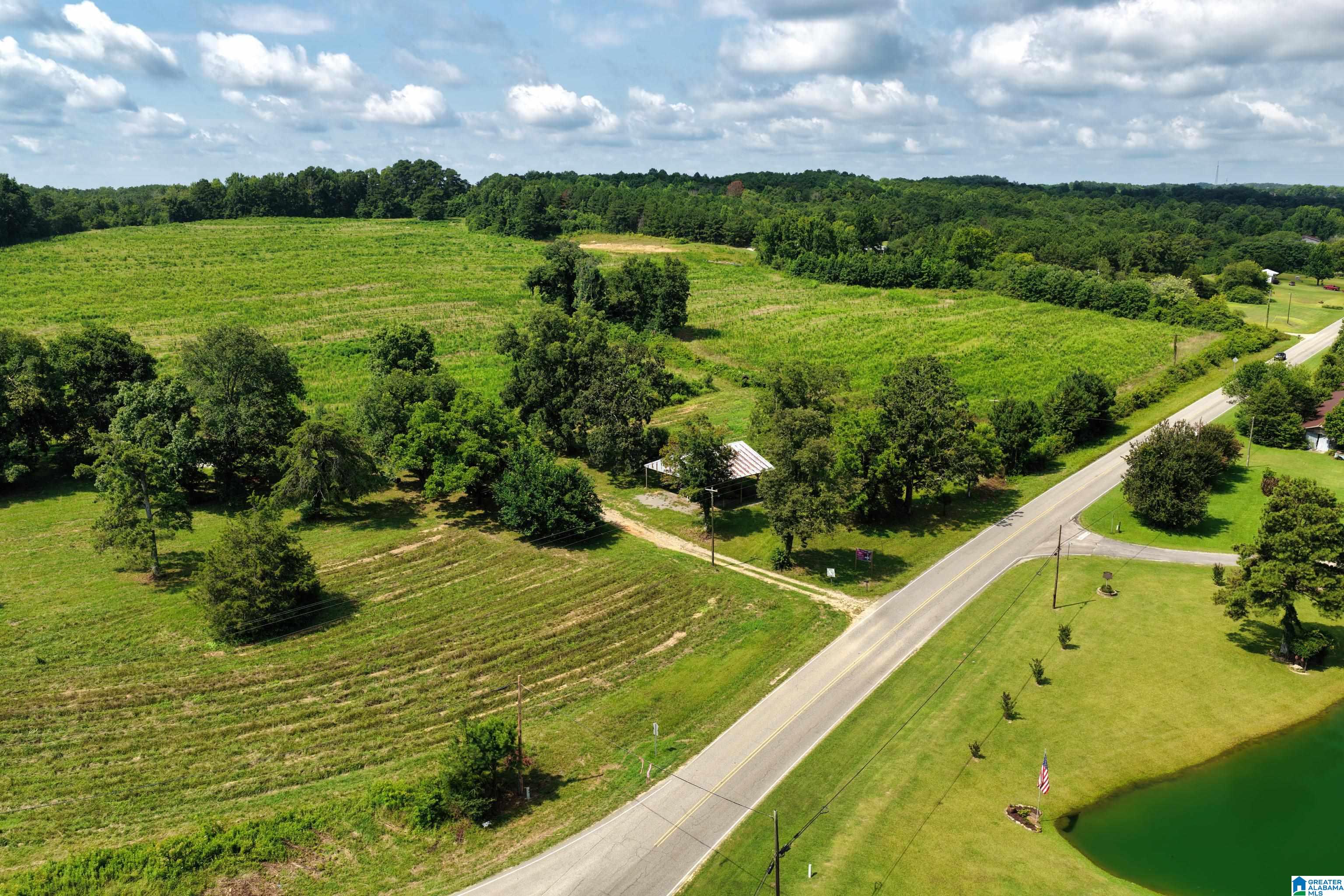0 County Highway 27, Unit 47 Springville, AL 35146 - Photo 3 of 53