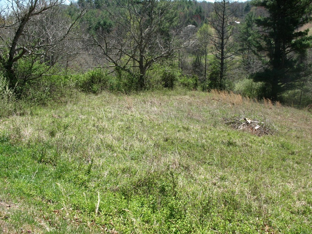 24 Edwards Chapel Road Fries, VA 24330 - Photo 22 of 30 Gallery Image 22