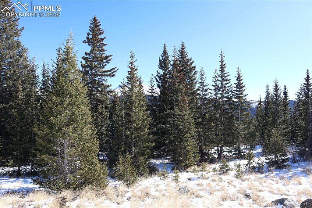 1480 Roberts Road Alma, CO 80420 - Photo 11 of 16 a view of a outdoor space with trees in the background