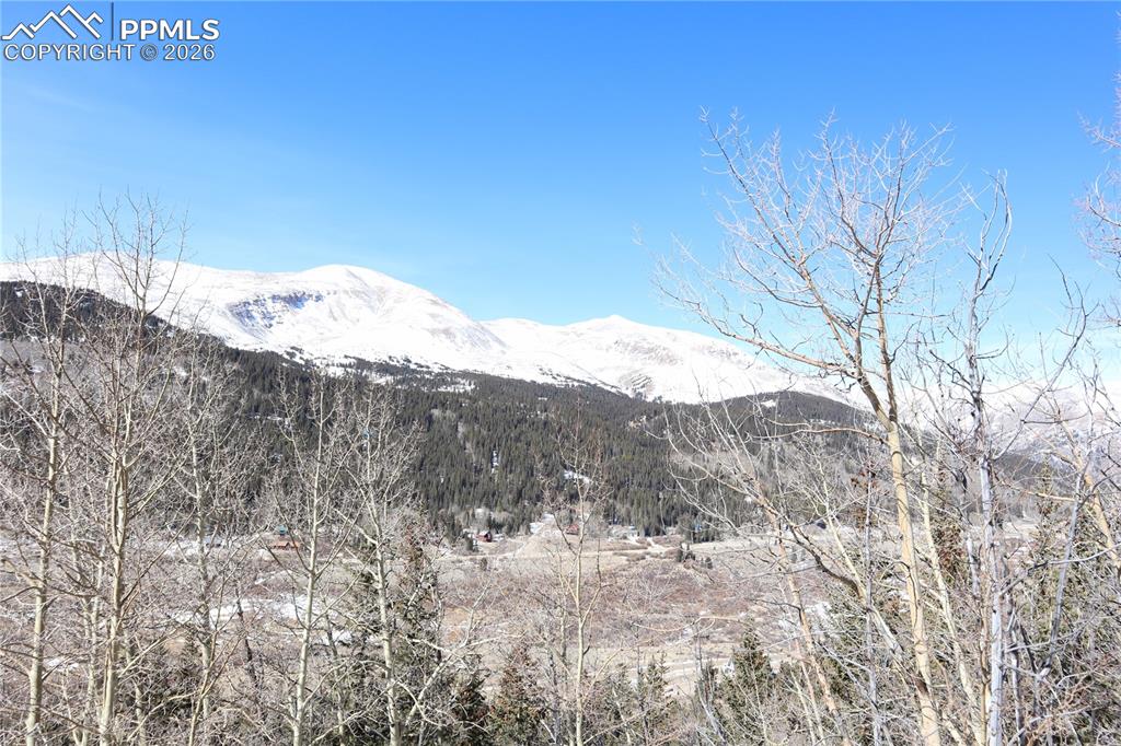 1480 Roberts Road Alma, CO 80420 - Photo 15 of 16 a view of a dry yard with mountains in the background
