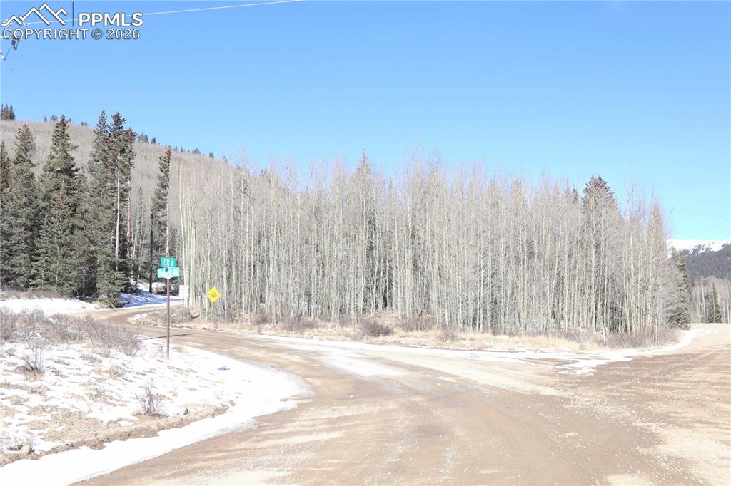 1480 Roberts Road Alma, CO 80420 - Photo 3 of 16 a view of a row yard with trees