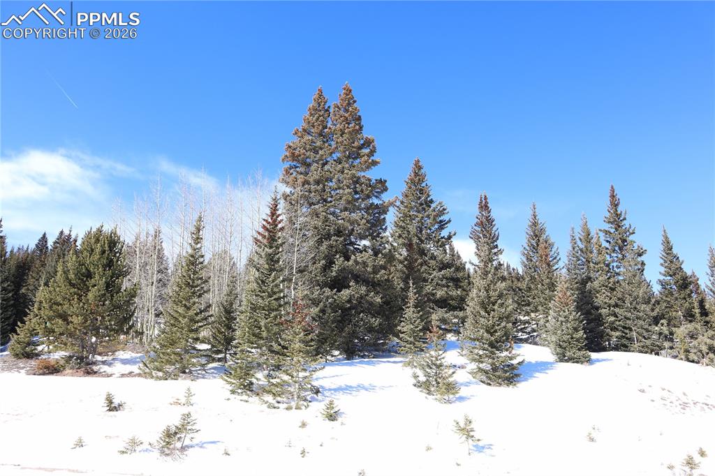 1480 Roberts Road Alma, CO 80420 - Photo 5 of 16 a view of a covered with snow in front of yard