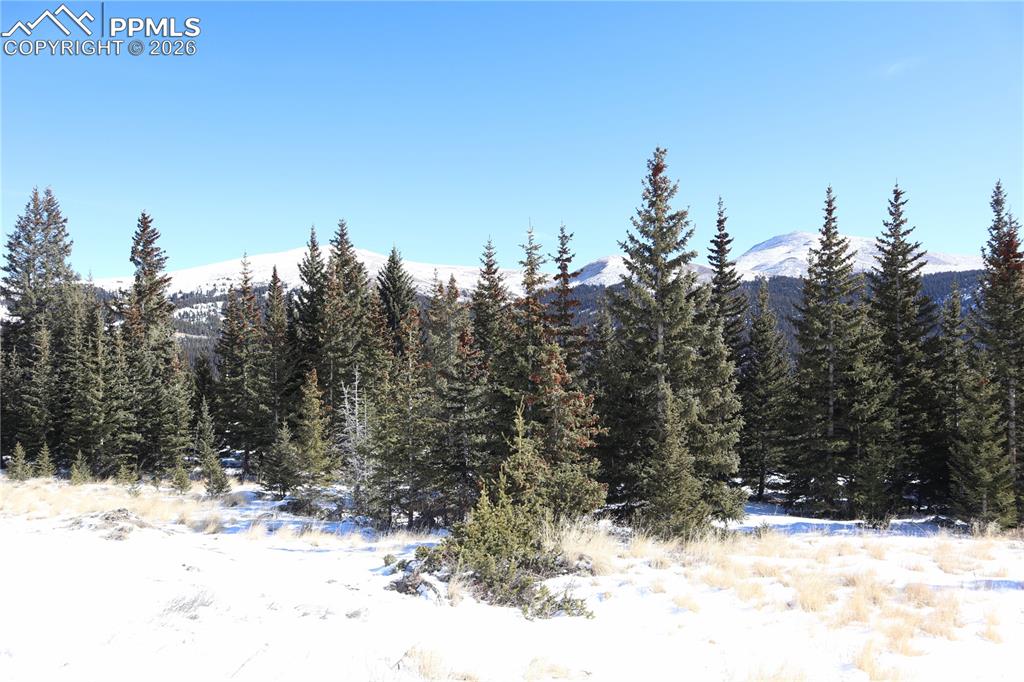 1480 Roberts Road Alma, CO 80420 - Photo 6 of 16 a view of a yard covered in snow