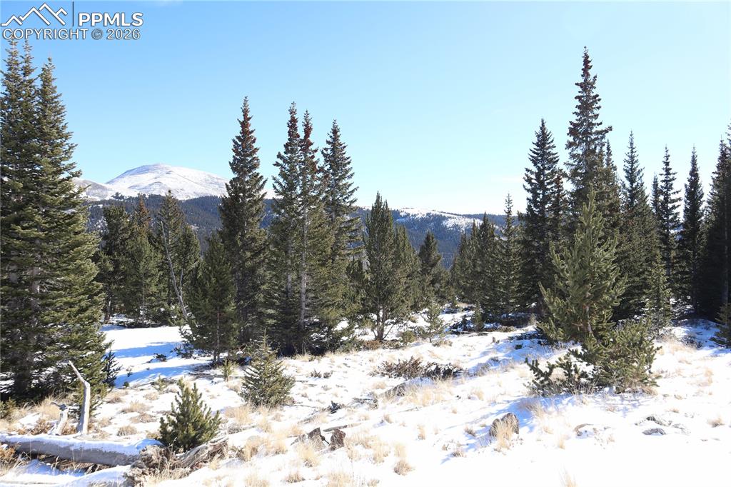 1480 Roberts Road Alma, CO 80420 - Photo 7 of 16 a view of a snow covered with trees in the background