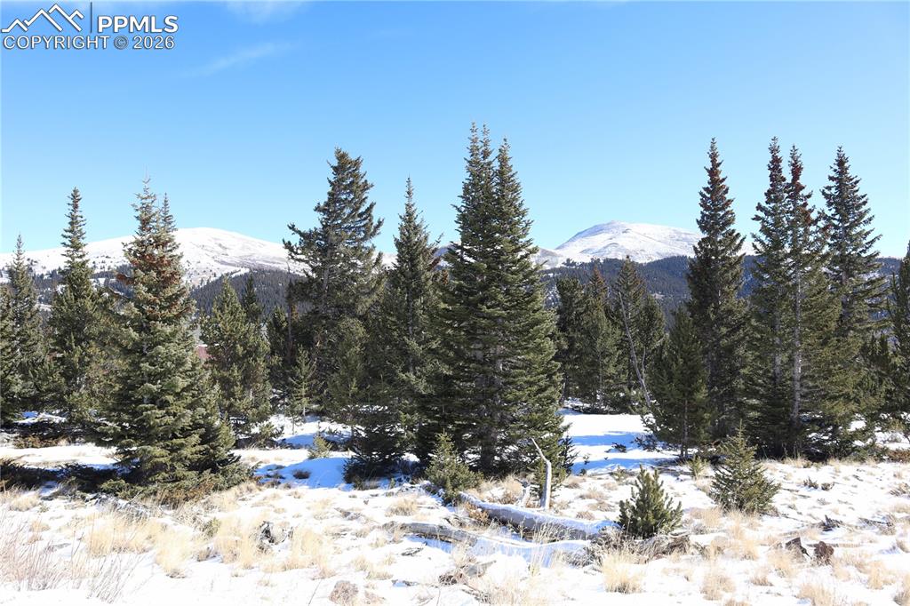 1480 Roberts Road Alma, CO 80420 - Photo 8 of 16 a view of a outdoor space with a tree