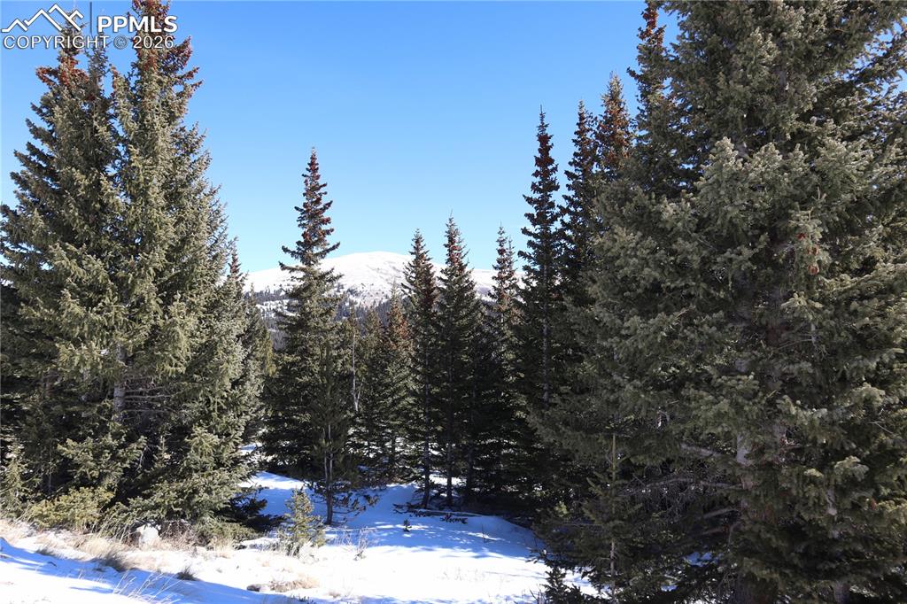 1480 Roberts Road Alma, CO 80420 - Photo 9 of 16 a view of a tree with a backyard of the house
