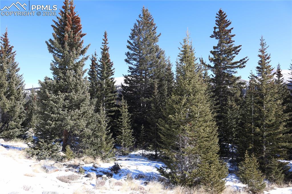 1480 Roberts Road Alma, CO 80420 - Photo 10 of 16 a view of outdoor space and trees