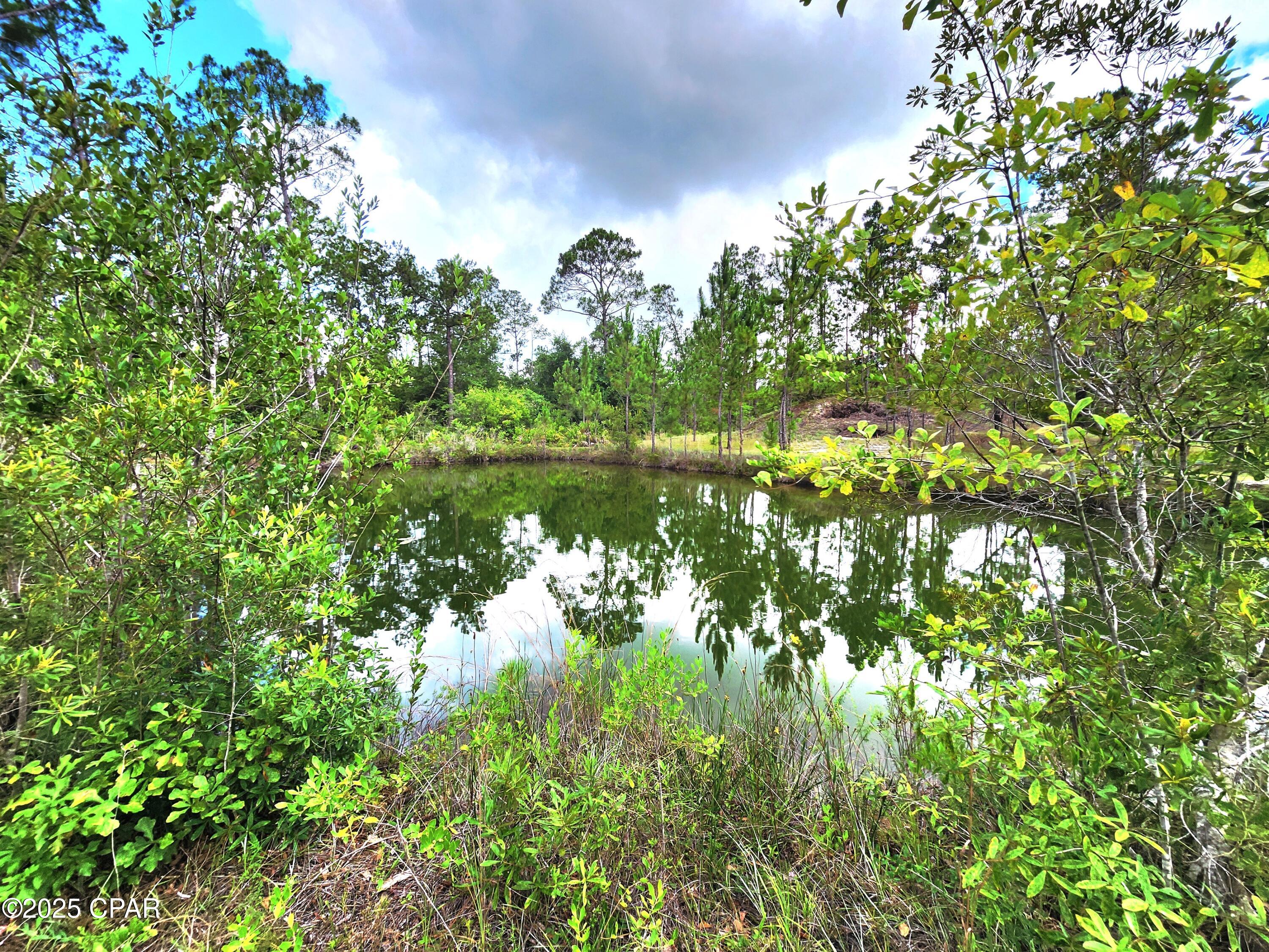 11136 Silver Lake Road Fountain, FL 32438 - Photo 22 of 30