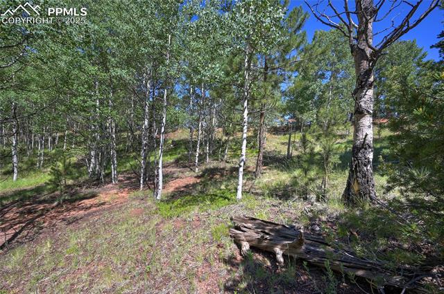 412 Princess Road Cripple Creek, CO 80813 - Photo 40 of 45 Gallery Image 40