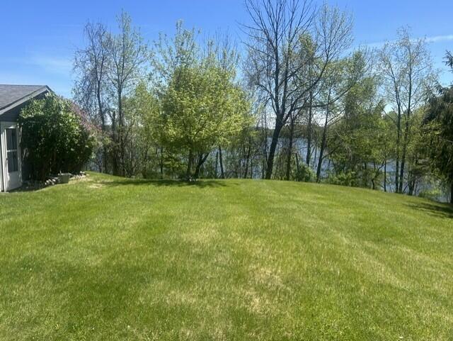 4323 Broadview Lane Lupton, MI 48635 - Photo 33 of 43 sideyard