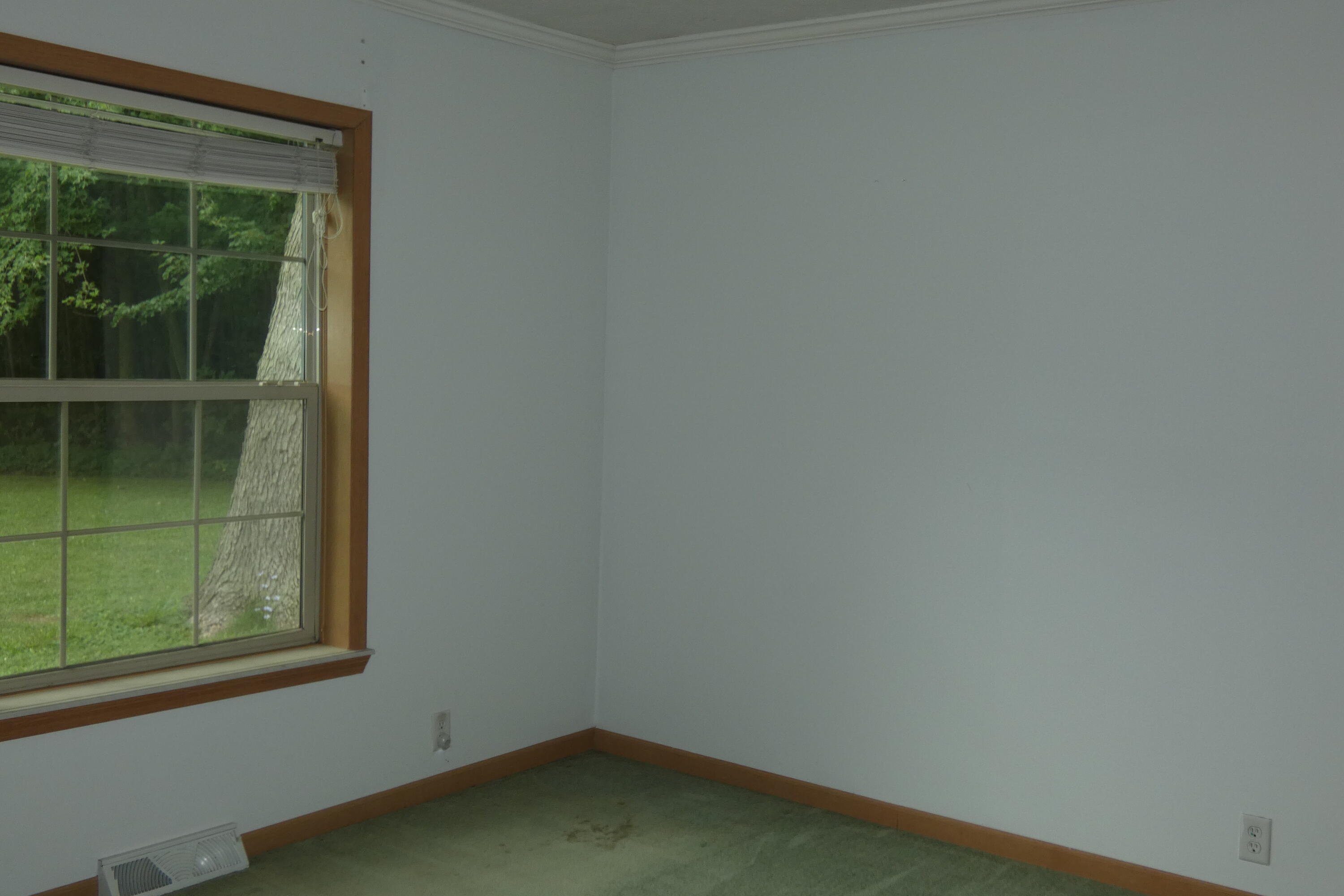 6290 Bailey Road Eau Claire, MI 49111 - Photo 15 of 48 P1010515