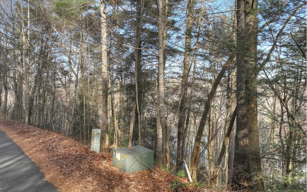 21 Jones Creek Road Ellijay, GA 30540 - Photo 7 of 20 a view of a yard with large trees