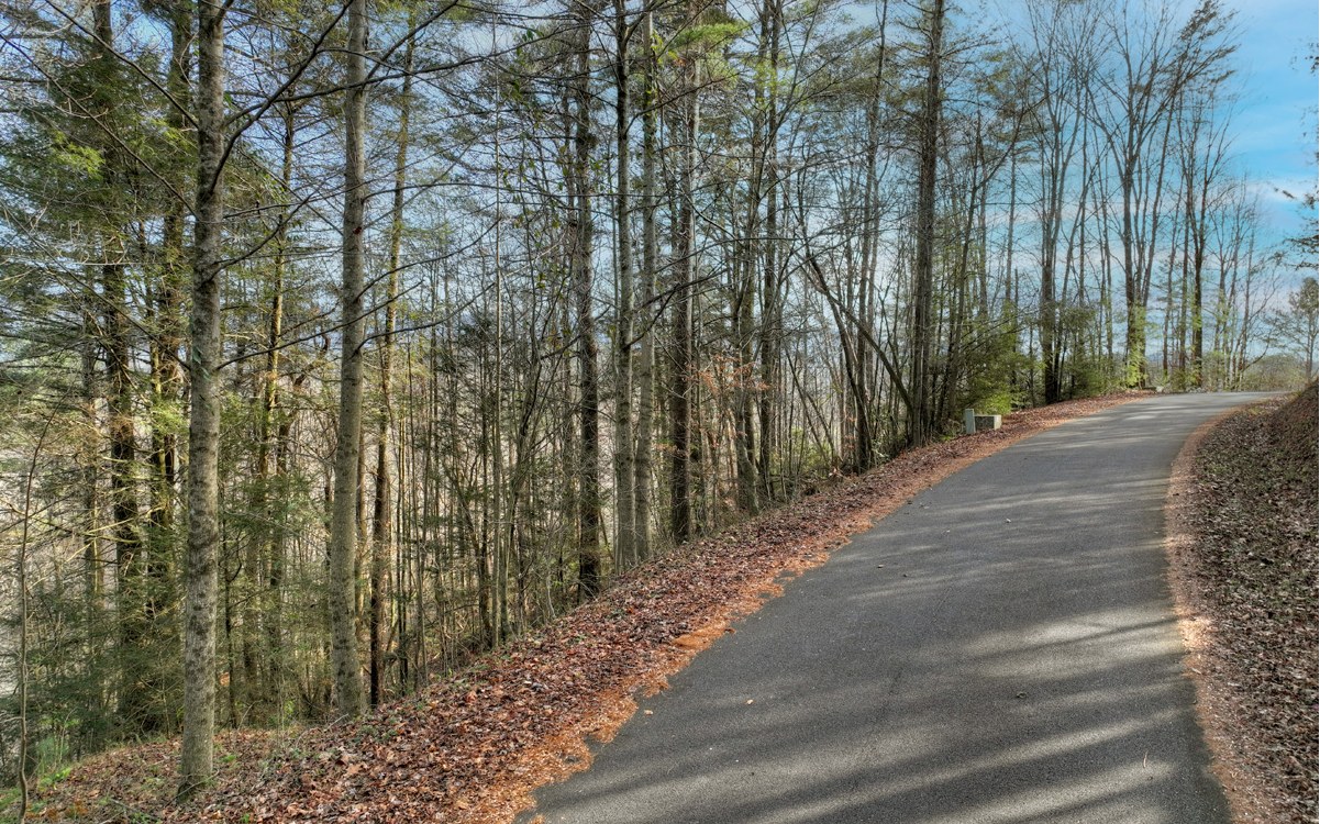 21 Jones Creek Road Ellijay, GA 30540 - Photo 8 of 20 a view of a pathway of a yard with plants and trees