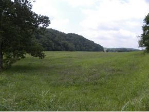 354 George Malone Road Greeneville, TN 37745 - Photo 13 of 19 Photo 13
