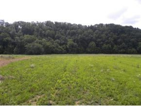 354 George Malone Road Greeneville, TN 37745 - Photo 14 of 19 Photo 14