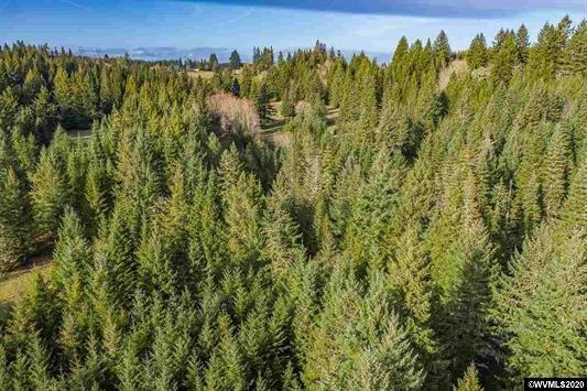 26662 Fern Ridge Road Sweet Home, OR 97386 - Photo 9 of 35 Additional Photo