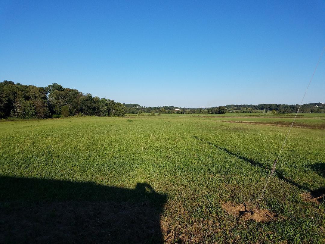 8388 Old Spencer Road Pikeville, TN 37367 - Photo 11 of 32 thumbnail (8)