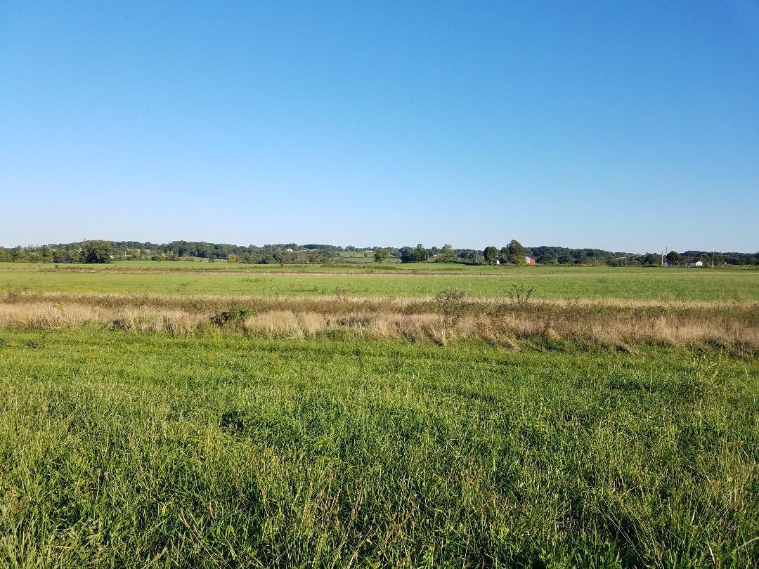 8388 Old Spencer Road Pikeville, TN 37367 - Photo 12 of 32 thumbnail (1)