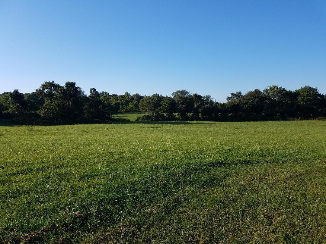 8388 Old Spencer Road Pikeville, TN 37367 - Photo 15 of 32 thumbnail (22)