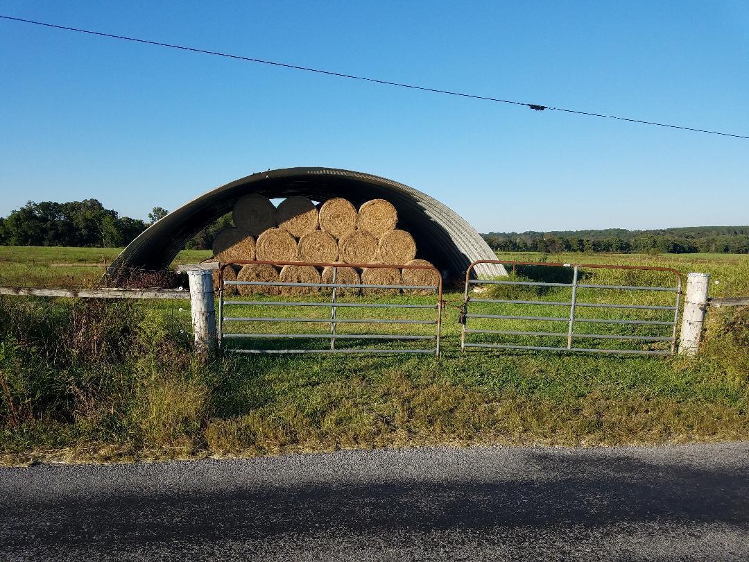 8388 Old Spencer Road Pikeville, TN 37367 - Photo 16 of 32 thumbnail (2)