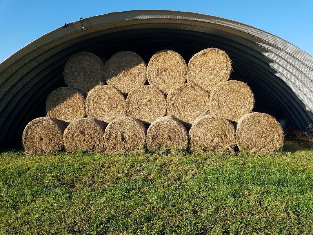 8388 Old Spencer Road Pikeville, TN 37367 - Photo 17 of 32 thumbnail (3)