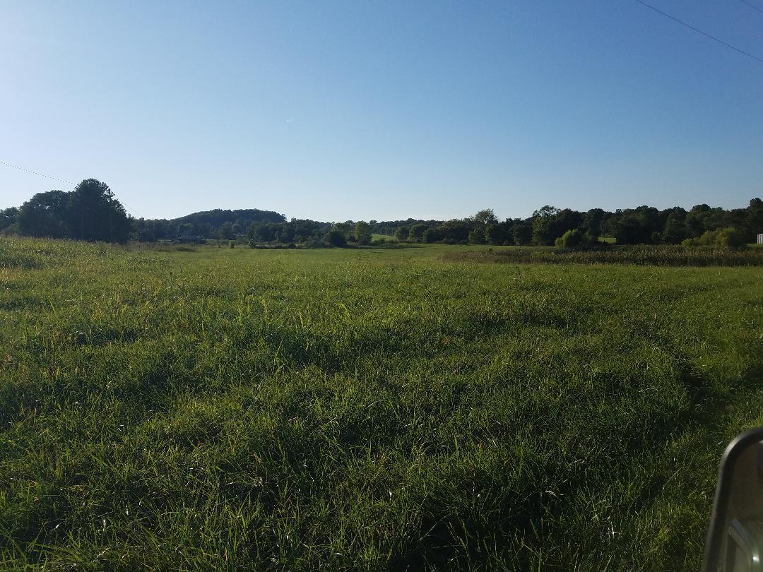 8388 Old Spencer Road Pikeville, TN 37367 - Photo 18 of 32 thumbnail (4)