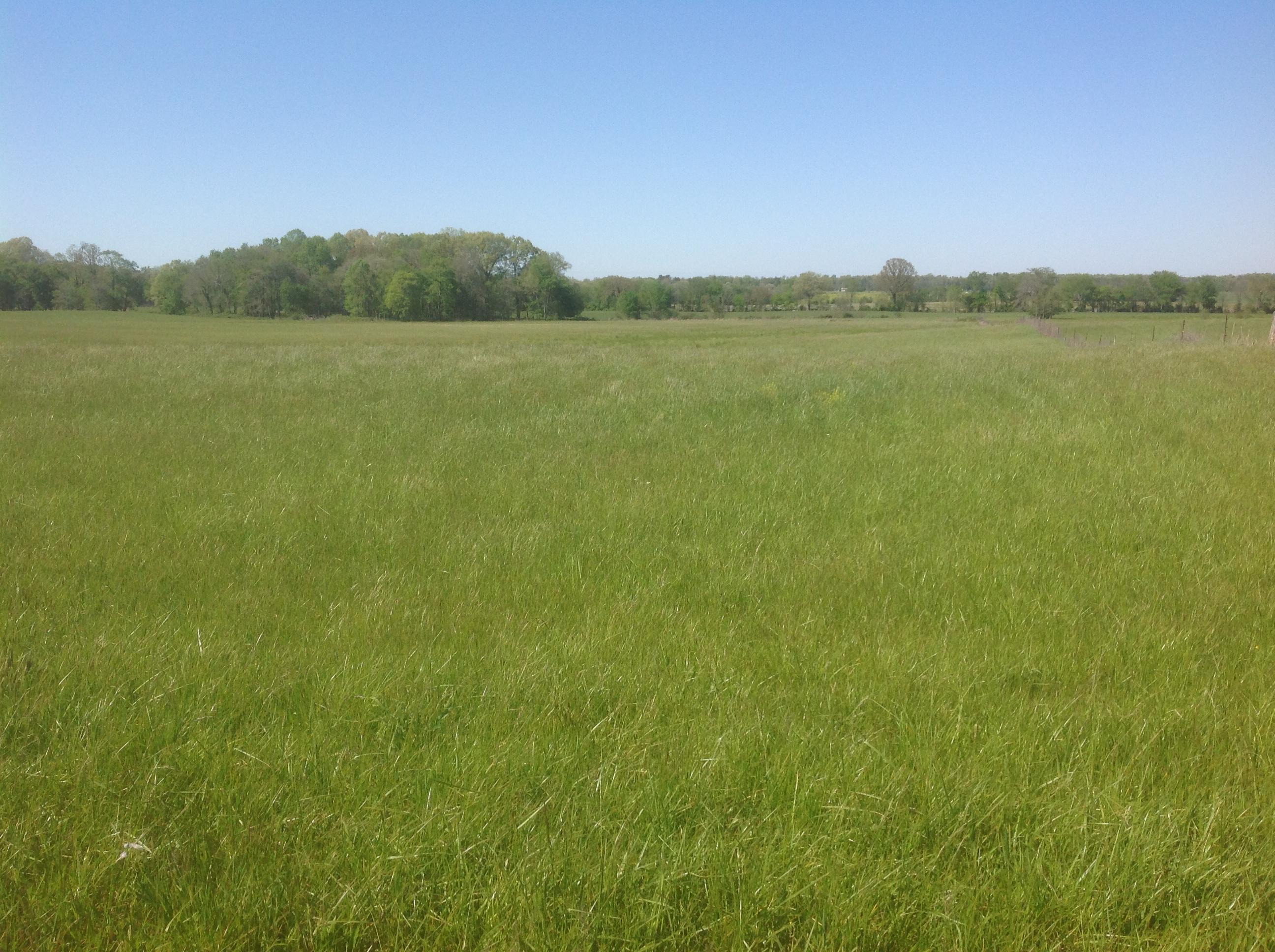 8388 Old Spencer Road Pikeville, TN 37367 - Photo 19 of 32 20200507202504161859000000-o